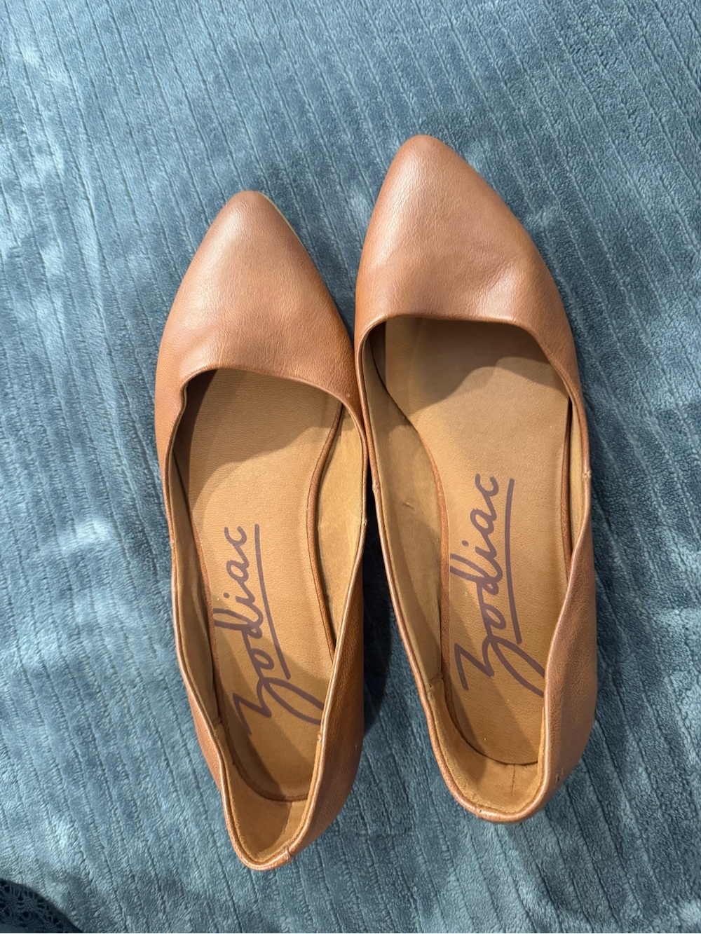 Zodiac Cognac Pointed-Toe Ballet Flats